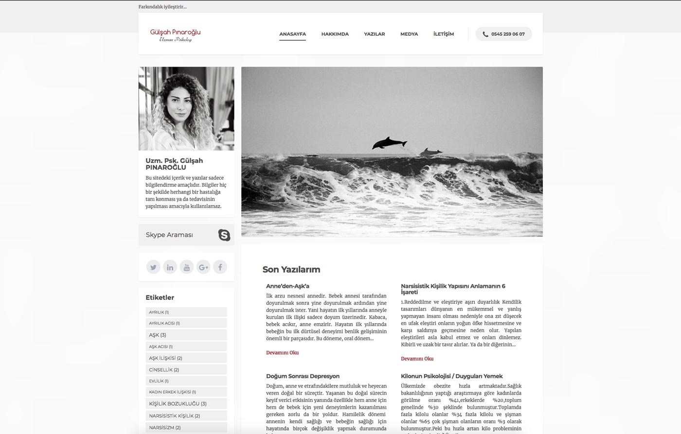 Gülşah Pınaroğlu Web Sitesi